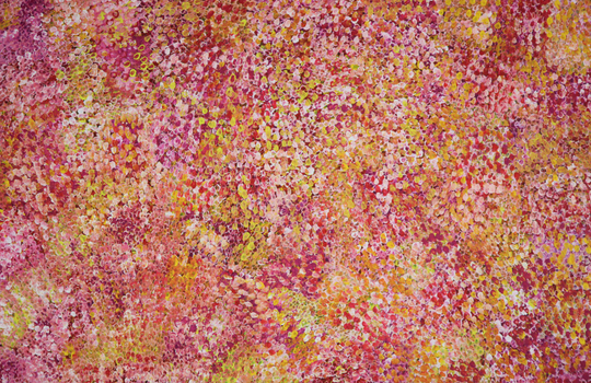 "Bush Plum Dreaming" by Belinda Golder Kngwarreye
