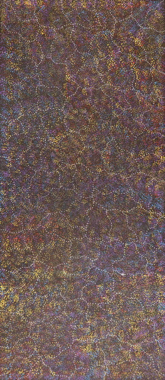 "Bush Plum Dreaming" by Gracie Morton Pwerle