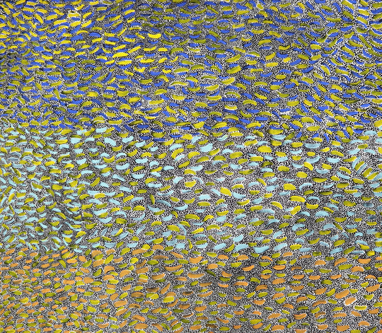 "Bush Medicine" by Patsy Long