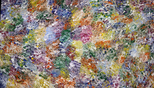 "Bush Plum Dreaming" by Belinda Golder Kngwarreye