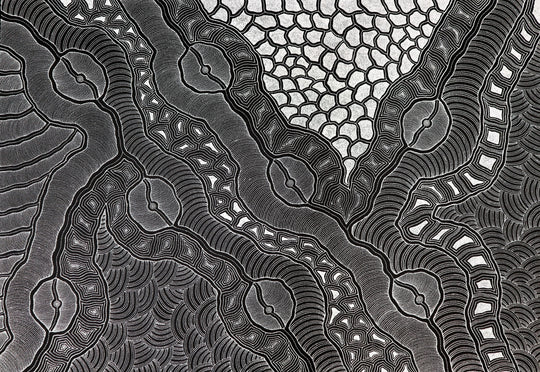 "My Country Dreaming" by Delvine Petyarre