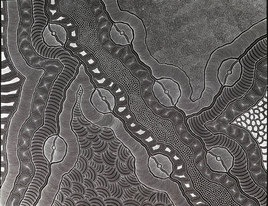 "My Country Dreaming" by Delvine Petyarre