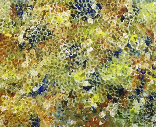 "Bush Plum Dreaming" by Belinda Golder Kngwarreye
