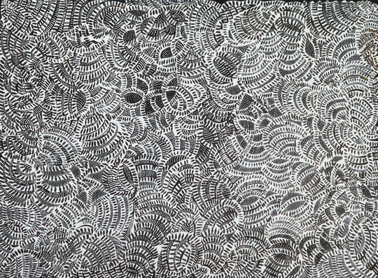 "Bush Yam Roots" by Jeannie Petyarre