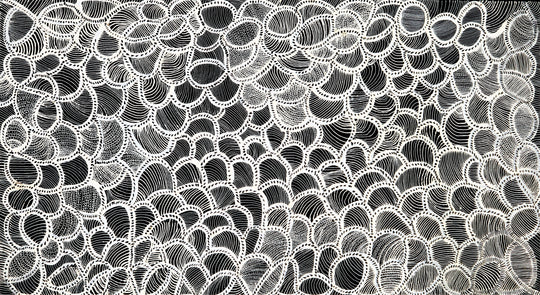 "Bush Yam Seeds" by Jeannie Petyarre