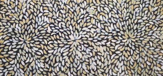 "Bush Medicine Leaves" by Louise Numina Napananka