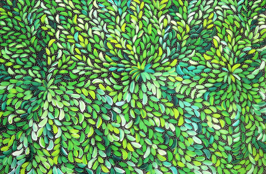 "Bush Medicine Leaves" by Louise Numina Napananka