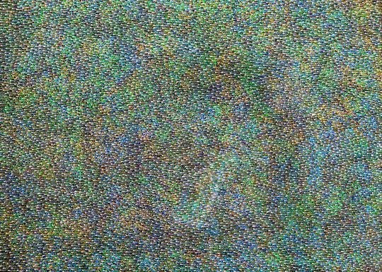 "Bush Plum Seeds" by Roseanne Morton Pwerle