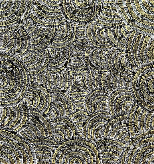 "Bush Plum Dreaming" by Sharon Numina