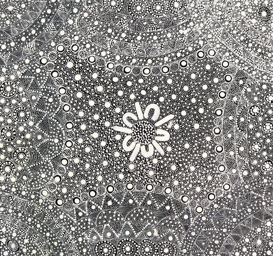 "My Country - Bush Seeds" by Tanya Bird Mbitjana