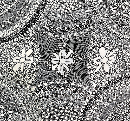 "My Country - Bush Seeds" by Tanya Bird Mbitjana