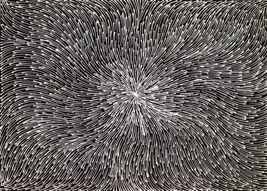 "Bush Medicine Leaves" by Sharon Numina