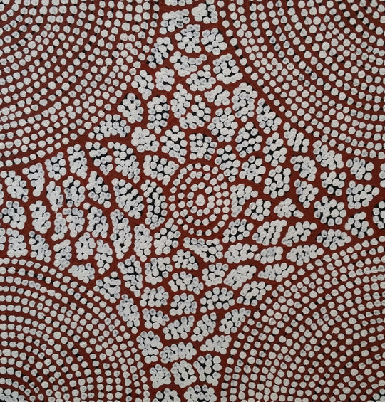 "My Country" by Narelle Reid Napangardi