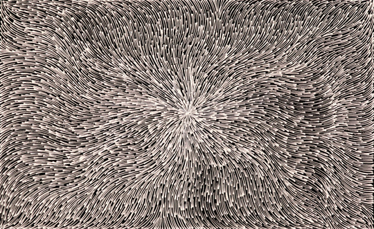 "Bush Medicine Leaves" by Sharon Numina