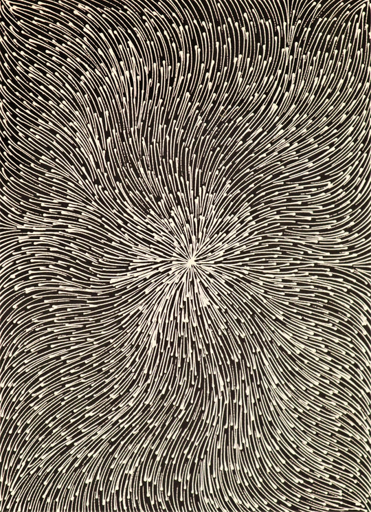 "Bush Medicine Leaves" by Sharon Numina