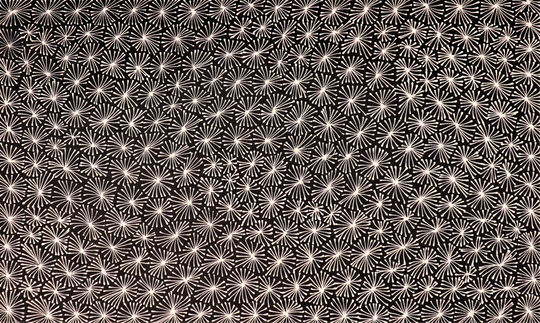 "Thorny Lizard Skins" by Sharon Numina