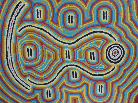 "Water Dreaming" by Felicity Nampijinpa Robertson