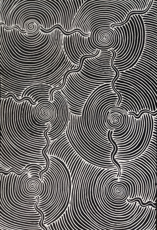 "Waterhole Dreaming" by Yondee Shane Hansen