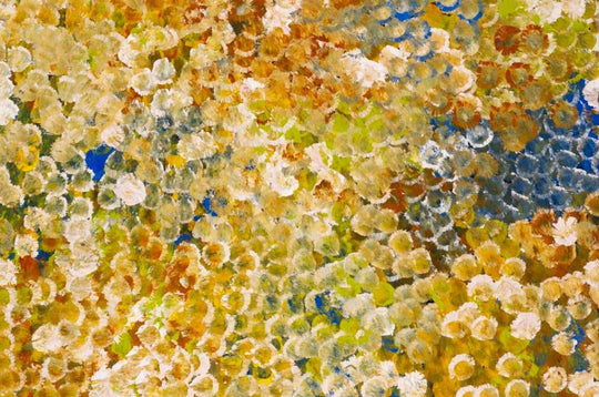 "Bush Plum Dreaming" by Belinda Golder Kngwarreye