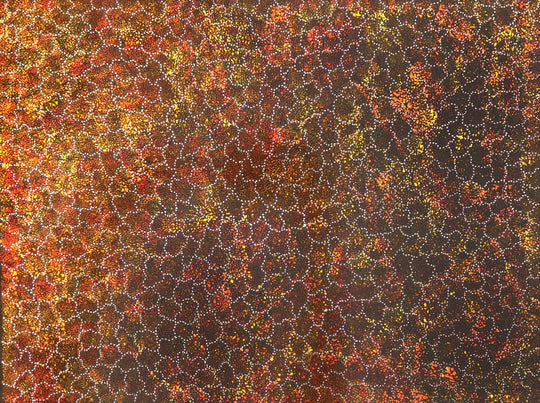 "Bush Plum Seeds" by Roseanne Morton