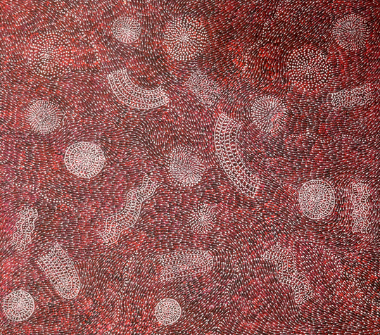 "Bush Plum Seeds" by Roseanne Morton