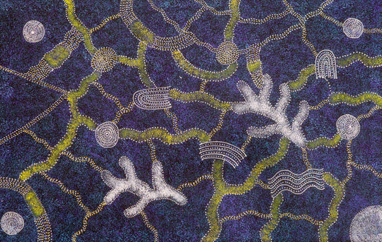 "Bush Plum Dreaming" by Roseanne Morton Pwerle